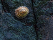 20130314_006