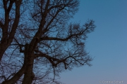 20140306-IMG_0012