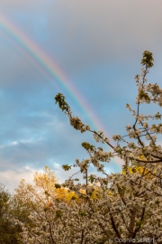 20140406-IMG_0872