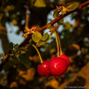 20140624-IMG_1140