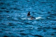 20130512-IMG_0202