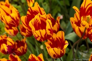 20130516-IMG_0414