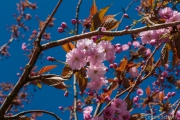 20140420-IMG_0301